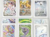 un lot de cartes pokemon différentes dans un étui en plastique