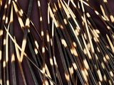 a lot of toothpicks that are on a table