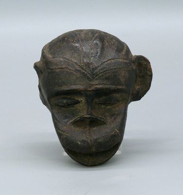 une image représentant la tête d'un homme sculptée