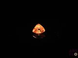 un gros plan sur une flamme dans l'obscurité