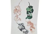 an image of a drawing of a plant with leaves on it
