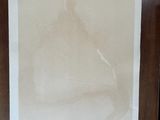 Photo 6/6 du lot