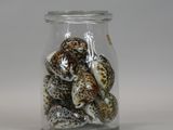 a glass jar filled with shells on a white surface