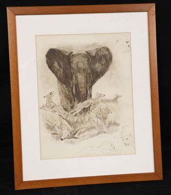 an image of a drawing of an elephant in a frame on a black background