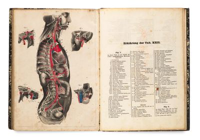 an open book with a diagram of the human body and blood vessels