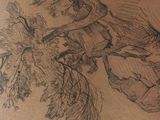 drawing of a woman sitting on a tree branch with a bird in her hand