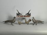 cinq oiseaux qui se tiennent les uns à côté des autres