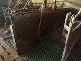 two cows that are standing in a stall