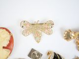 a lot of brooches that are sitting on a table