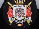 an image of a badge on the back of a motorcycle