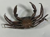 statue of a crab on a white surface with a white background
