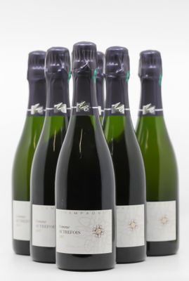 six bouteilles de vin sont alignées sur une surface blanche