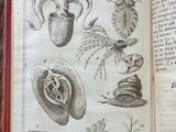 an old book with a bunch of drawings on it
