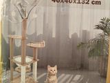 un chat assis sur une boîte en carton