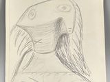 dessin au crayon représentant un oiseau aux longues plumes et à la longue queue