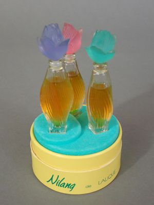 deux vases en verre contenant des fleurs, posés sur une table
