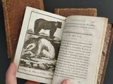 someone is holding a book with a picture of a bear on it