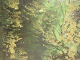 a picture of a painting of a forest with trees