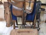 une selle et une selle exposée dans une pièce