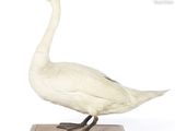 un canard blanc posé sur un socle en bois