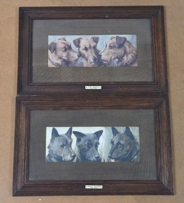 three framed pictures of dogs hanging on a wall in a room