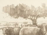 drawing of a herd of cattle in a field with a tree in the background