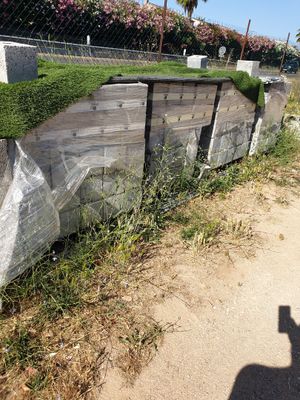 Quelqu'un prend une photo de l'herbe qui pousse sur le mur en béton