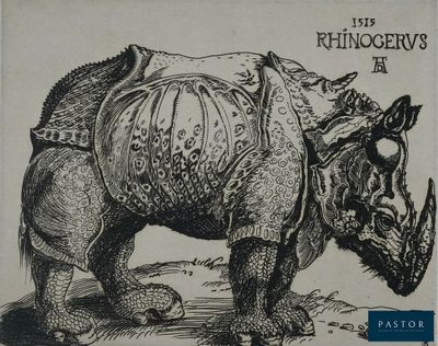 dessin représentant un rhinocéros avec une selle sur le dos