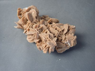 Rose des sables , L 22,5 cm