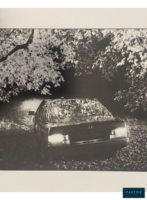 photographie en noir et blanc d'une voiture garée dans un espace boisé