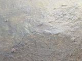 a close up view of a metal object on a table