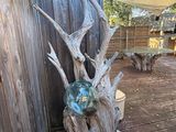un bois de cerf et un bocal en verre posés sur une terrasse en bois