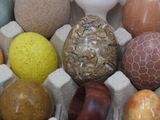 many different colored eggs in a carton on the table