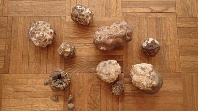 9 Marcassites, espèce minérale composée de disulfure de fer,…
