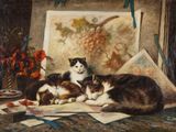 deux chats allongés sur une table