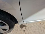 a car that has a small patch of dirt on the side of the road