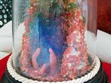 a glass dome with a picture inside of it on a table