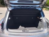 a trunk of a car with a cat in it