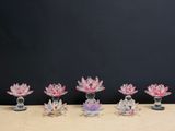 six vases en verre en forme de fleur de lotus posés sur une table devant un fond noir