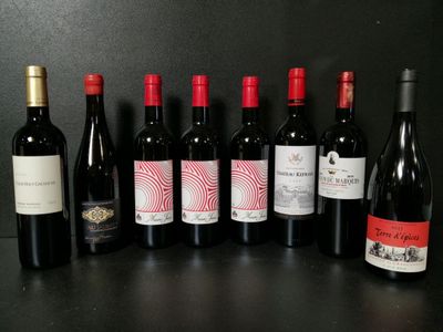 Lot de 8 bouteilles de vin rouge dont : Musar Jeune 2021, La… - Photo 1