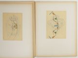 two pages of a book with drawings of birds on them
