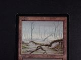a picture of a card with a picture of a tree in the background