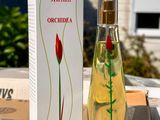 une image représentant un flacon de parfum posé sur une boîte