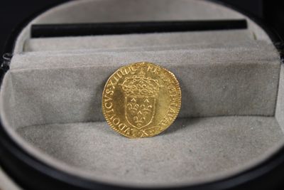 une pièce d'or posée dans une boîte sur une table