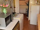 une femme debout dans une cuisine, près d'un évier et d'un micro-ondes