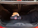 a bag in the trunk of a red car