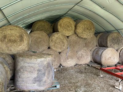 un gros tas de foin dans un bâtiment où se trouve une charrette rouge