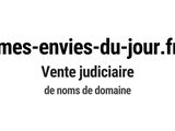 Photo 1/1 du lot
