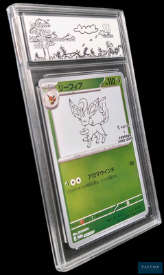 une carte sur laquelle figure l'image d'un personnage de Pokémon