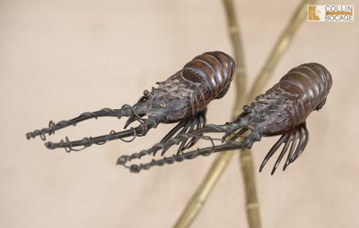 deux insectes perchés sur une branche